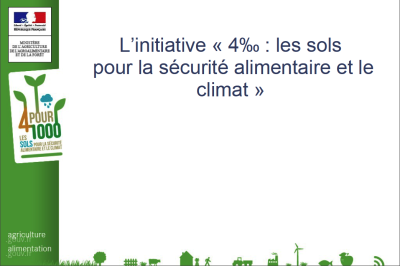 Image / illustration